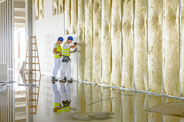 Best Specialized Insulation Services in Sawmills, NC